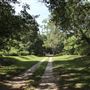 Millbrook Plantation - Fields, Roads, Paths, Miscellaneous - Summer 2018