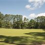 Chester State Park
