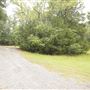 Tega Cay - Central Bark Dog Park