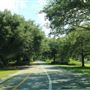 Hampton Park - Drive-around