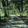 The Blessing Plantation -- Guest House Exteriors (Sep. 2018)