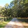 Middleton Place - Organic Farm