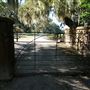 Middleton Place - Rice Pond Walkway
