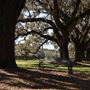 Boone Hall Plantation - Under the Oaks (March 2019)