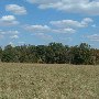Darby Farms - Pastures