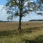 Darby Farms - Pastures