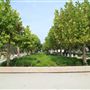 Charleston Waterfront Park - South Dock