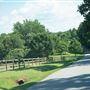Race Track Road