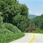 Old Highway 25