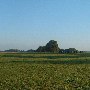 Darby Farms - Outbuildings
