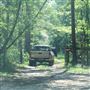 Hyde Park Plantation - Drive In & Drive Out