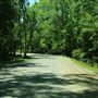 Drayton Hall - Driving Out