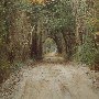 Tuten Road