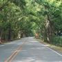 River Road (2) - Bohicket Road to Maybank Hwy.