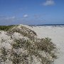 Seabrook Island - Beaches