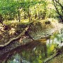 Francis Marion National Forest-Lake Guilliard