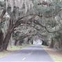 Little Britton Road