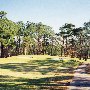 Miller Country Club- Golf Course
