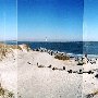 Morris Island Lighthouse