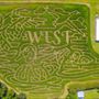 West Farm Corn Maze