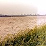 Sea Island- Cedar Island