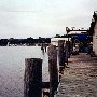 Carolina Seafood Company