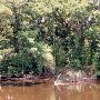 New River