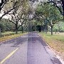Rowesville Road