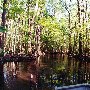Little Salkehatchie River