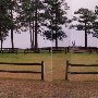Springdale Horse Race Track (Steeplechase) - Stable E-3