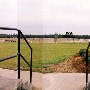 Springdale Horse Race Track (Steeplechase) - Stable E-3