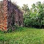 Mead Westvaco - Union Camp