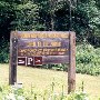 Debutary Creek Landing