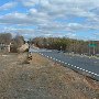 Hwy. 29 S Bridge
