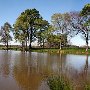 Darby Farms - Ponds