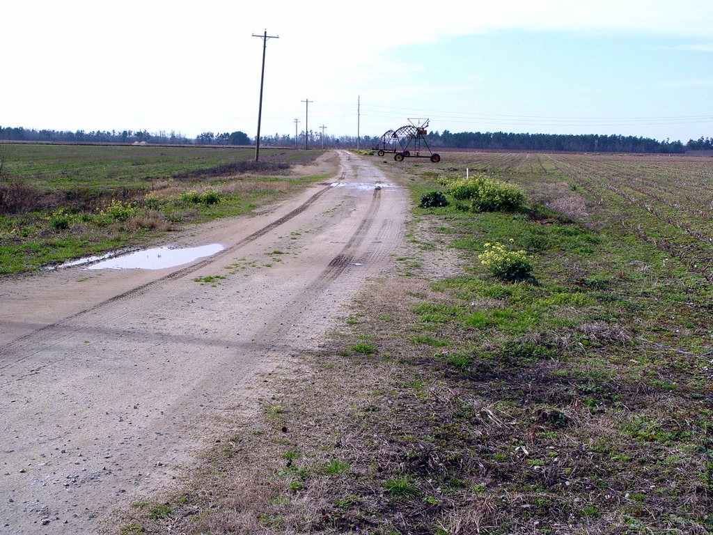 Locations Hub - Old Joe Rast Farms