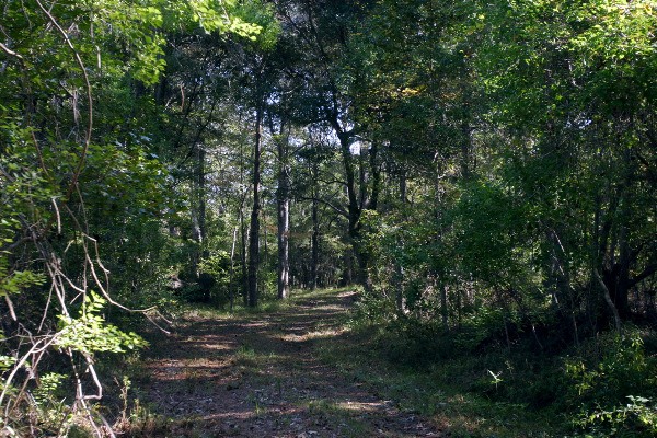 Middleburg Plantation