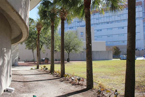 MUSC (Harper Student Wellness Center)