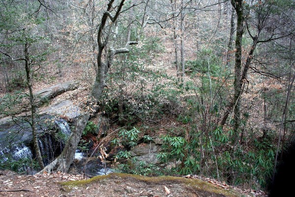 Caesars Head State Park - Wildcat Branch Falls (3/25/2010 - Credits: Dan Hydrick)