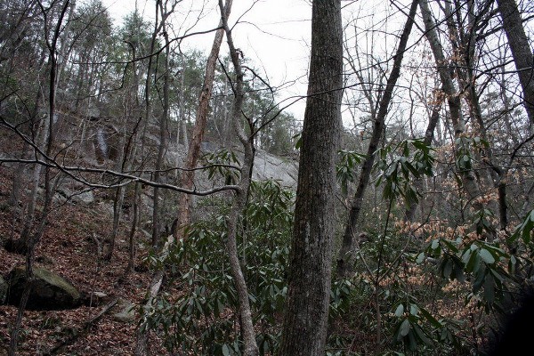 Caesars Head State Park - Wildcat Branch Falls (3/25/2010 - Credits: Dan Hydrick)