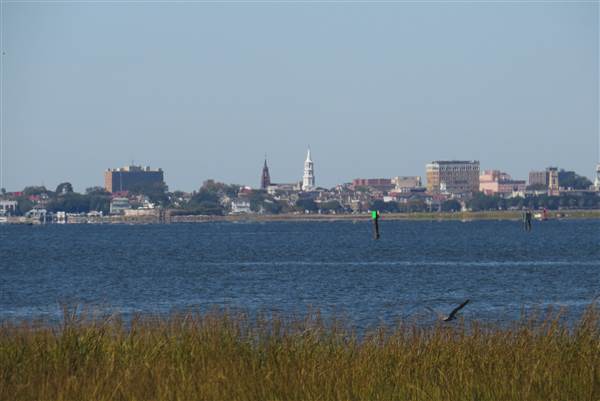 Pitt Street Bridge - Mt. Pleasant