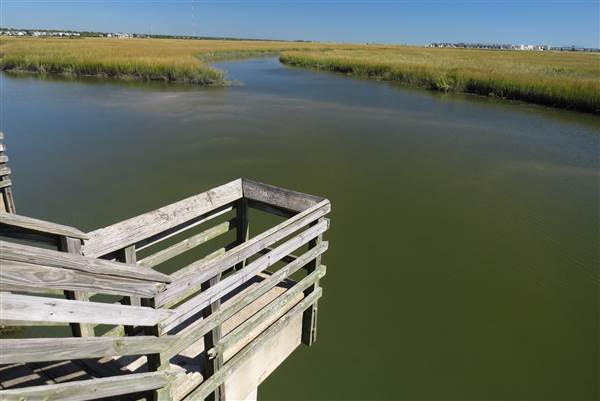 Pitt Street Bridge - Mt. Pleasant