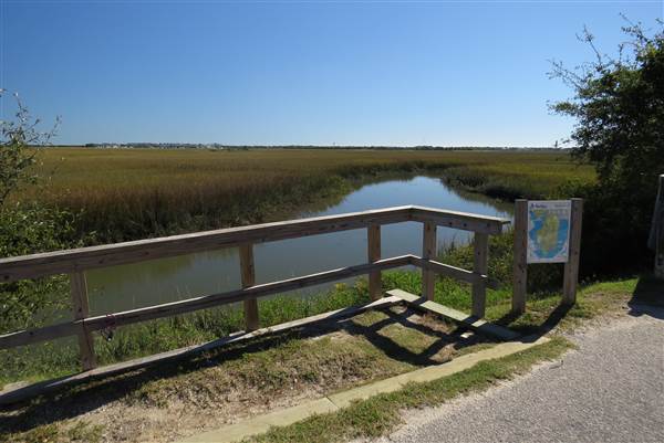 Pitt Street Bridge - Mt. Pleasant