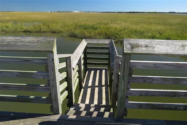 Pitt Street Bridge - Mt. Pleasant