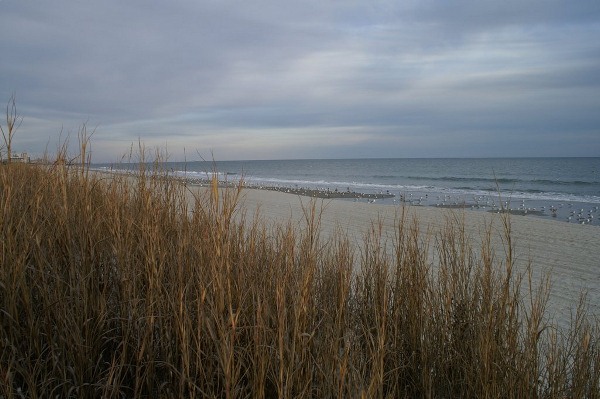 Myrtle Beach (3/27/2006 - Credits: Steve Yetman)