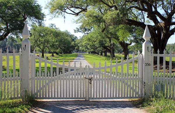 Middleburg Plantation