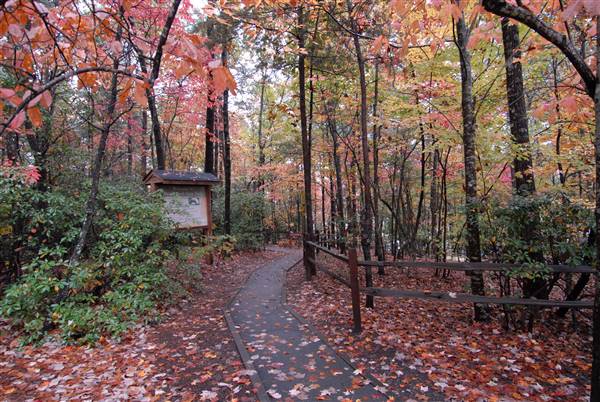 Devils Fork State Park (11/14/2017)