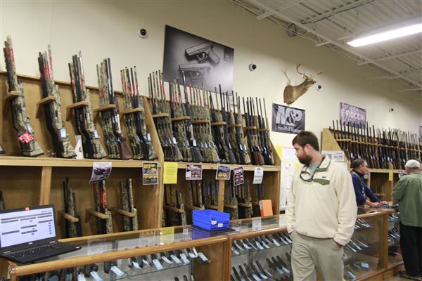 Palmetto State Armory