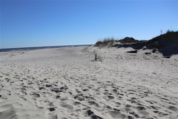 Folly Beach - Lighthouse Inlet Heritage Preserve