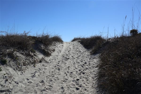 Folly Beach - Lighthouse Inlet Heritage Preserve